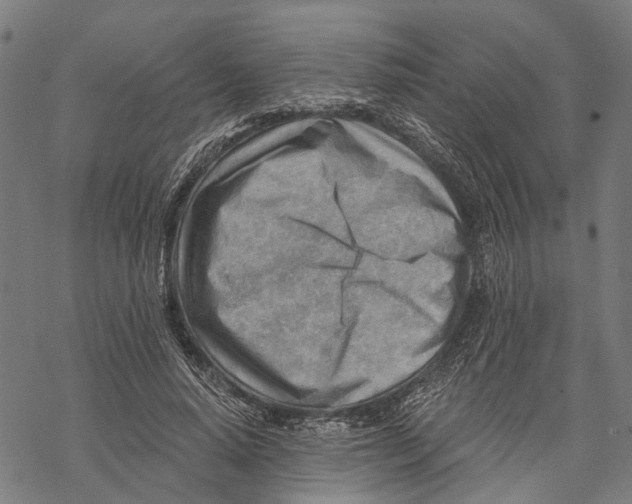 X0000068830640200605261616