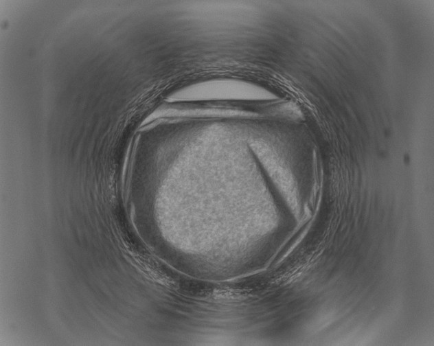 X0000068830641200605261616