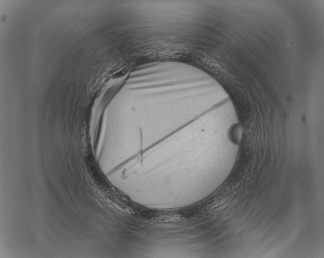 X0000068830642200605261616