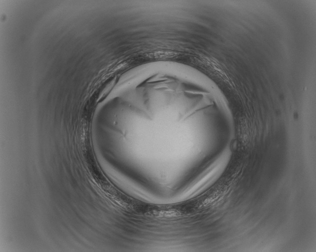 X0000068830645200605261616