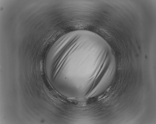 X0000068830646200605261616