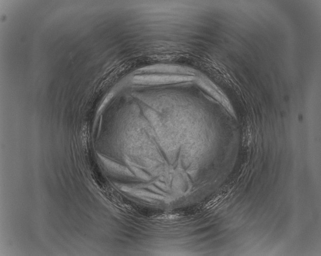 X0000068830647200605261616