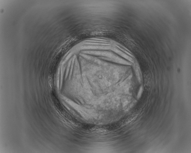 X0000068830648200605261616