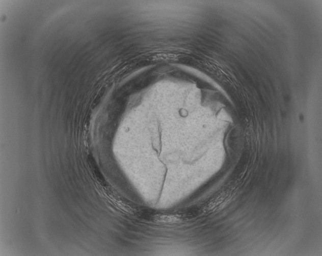 X0000068830649200605261616