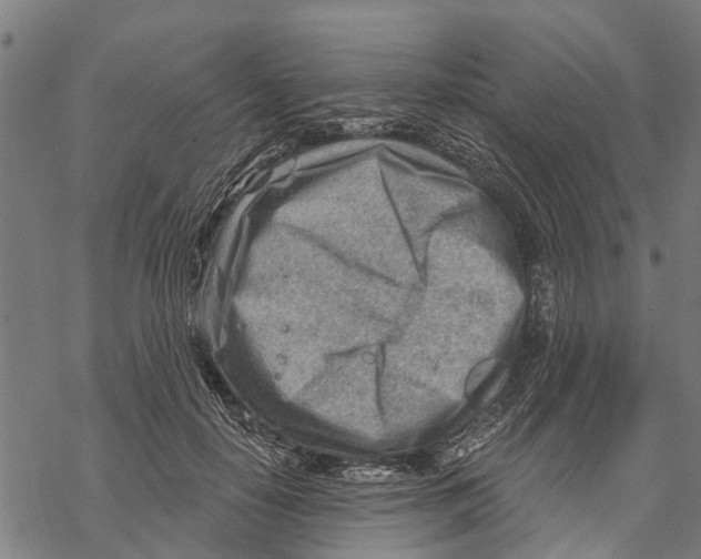 X0000068830650200605261616