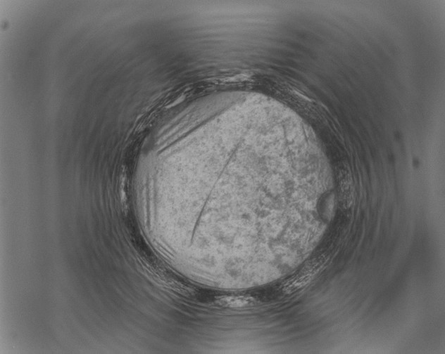 X0000068830654200605261617