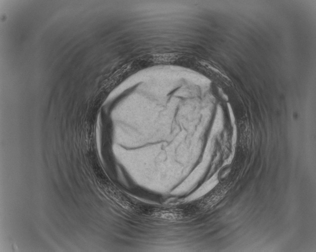 X0000068830655200605261617