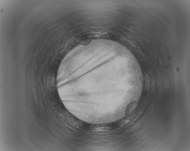 X0000068830657200605261617