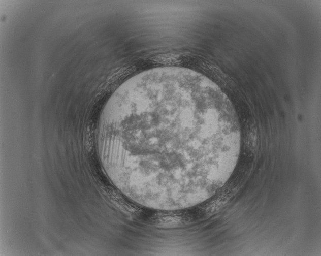 X0000068830658200605261617