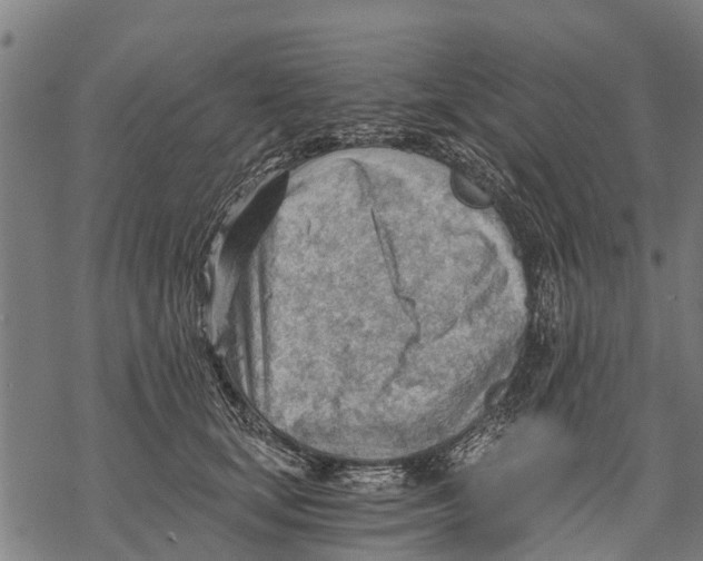 X0000068830659200605261617