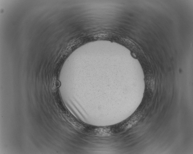 X0000068830660200605261617