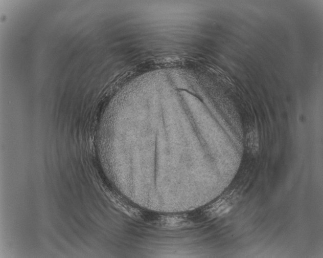 X0000068830662200605261617