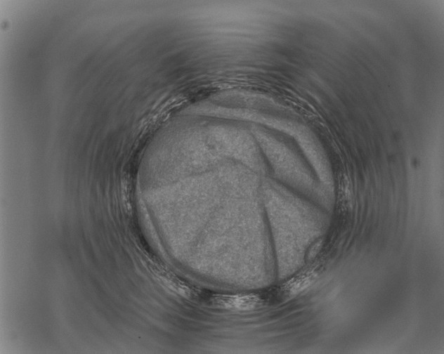 X0000068830663200605261617