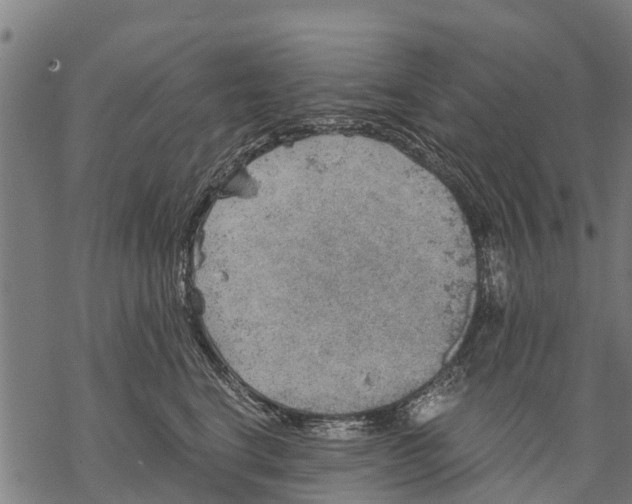 X0000068830664200605261617