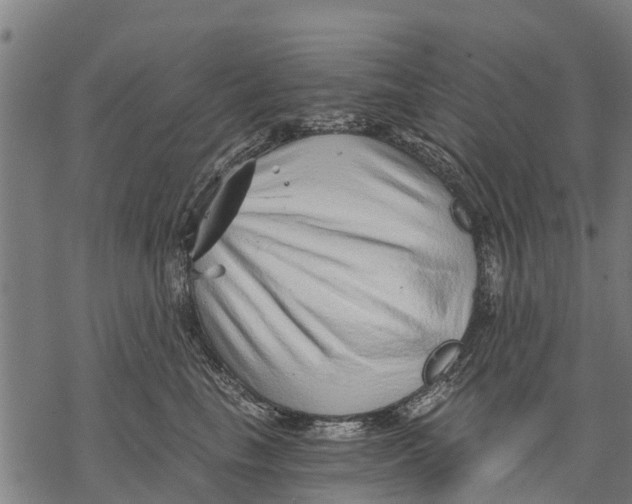 X0000068830665200605261617