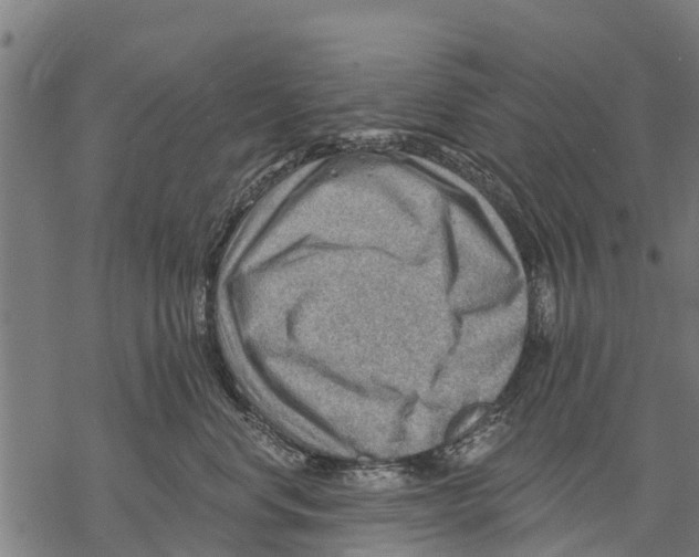 X0000068830668200605261617