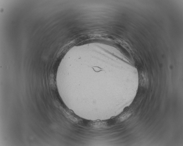 X0000068830670200605261617