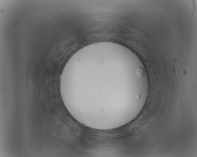 X0000068830672200605261617