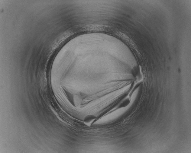 X0000068830674200605261616