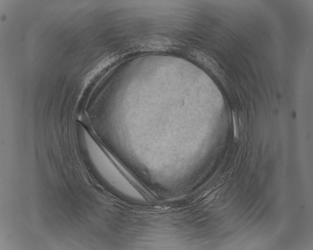 X0000068830675200605261616