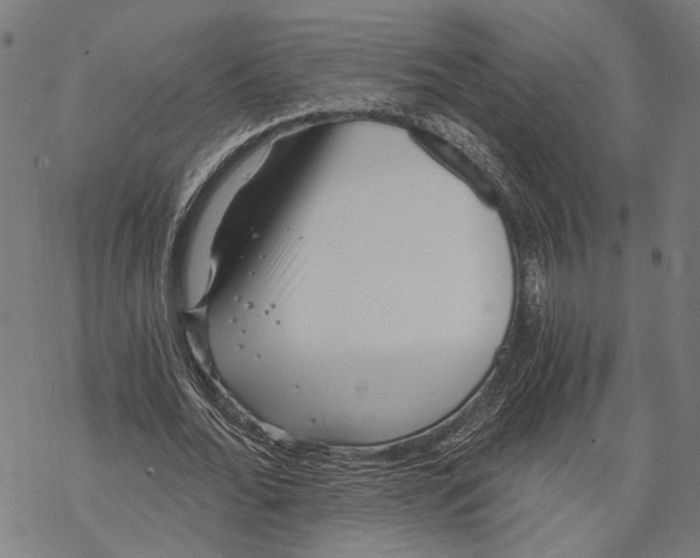 X0000068830676200605261616