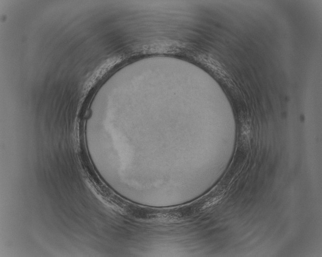 X0000068830678200605261616