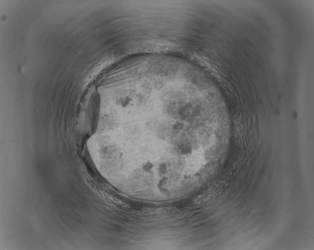 X0000068830679200605261616