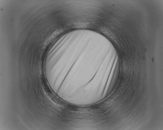 X0000068830682200605261616