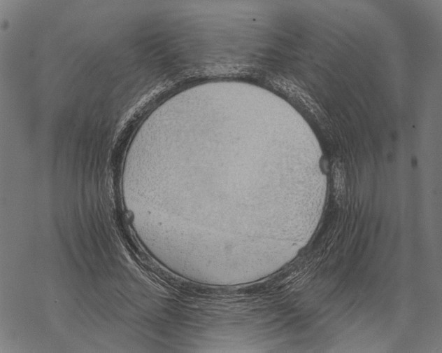 X0000068830684200605261616