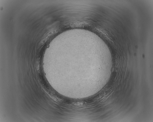 X0000068830687200605261616