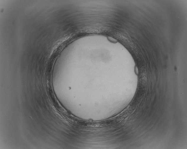 X0000068830688200605261616