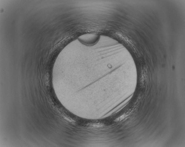 X0000068830689200605261616