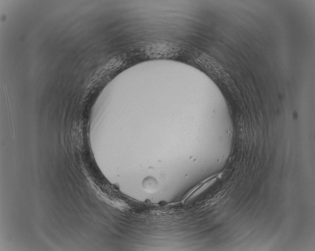 X0000068830690200605261616