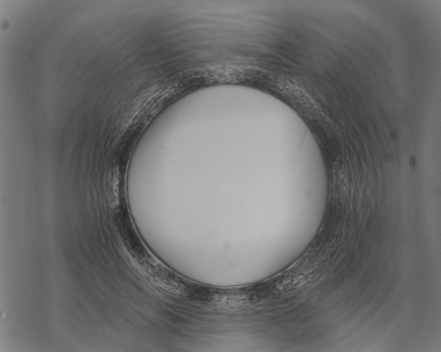 X0000068830694200605261616