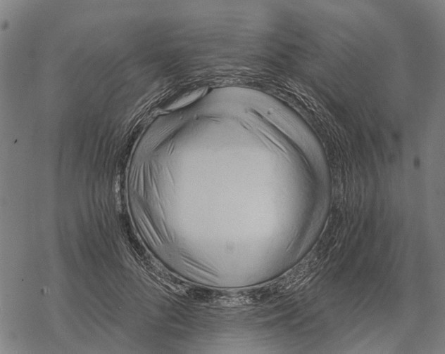 X0000068830696200605261616