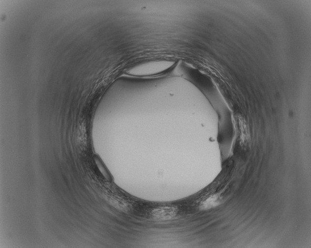 X0000068830700200605261616