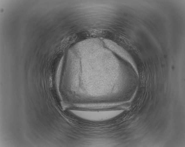 X0000068830703200605261616