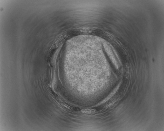 X0000068830707200605261616