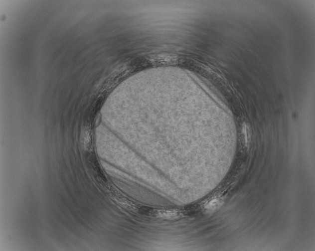 X0000068830709200605261615