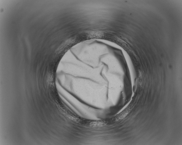 X0000068830714200605261615