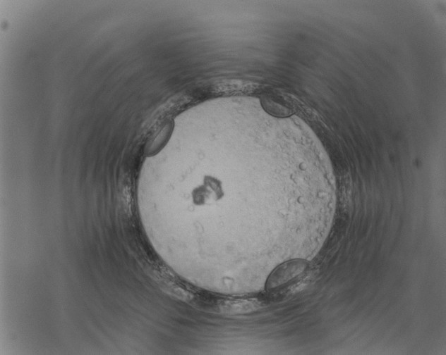 X0000068830716200605261615