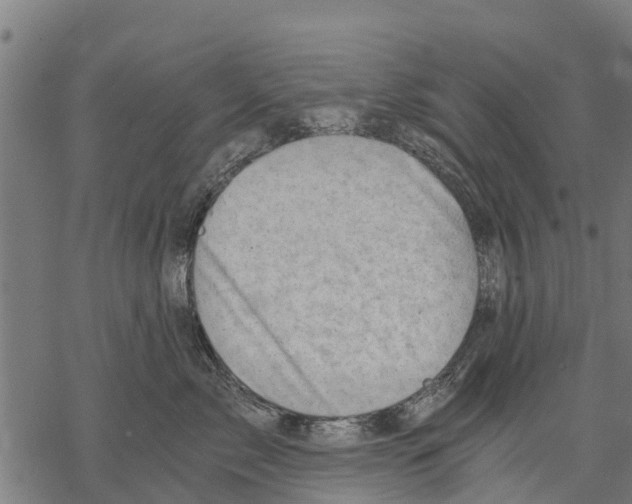 X0000068830717200605261615