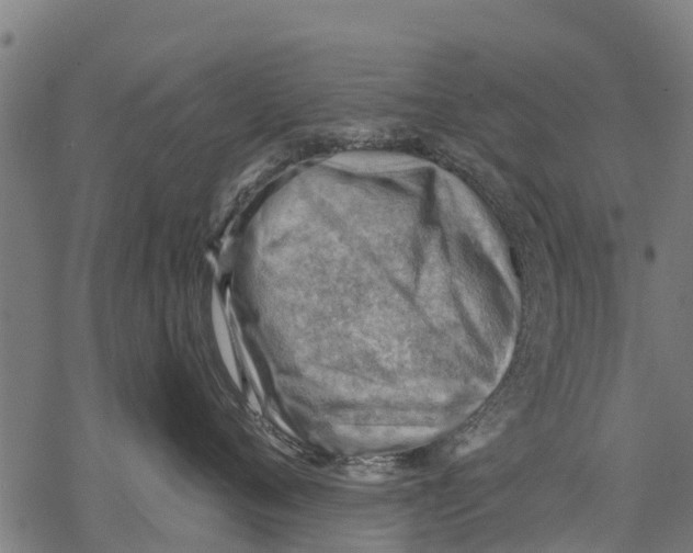 X0000068830720200605261615