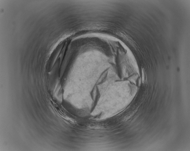 X0000068830723200605261615