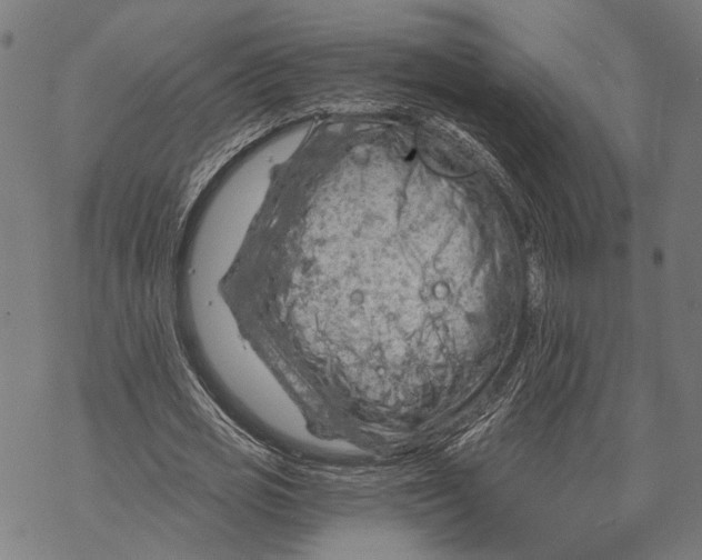 X0000068830725200605261615