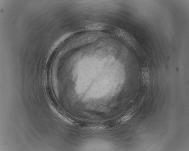 X0000068830726200605261615