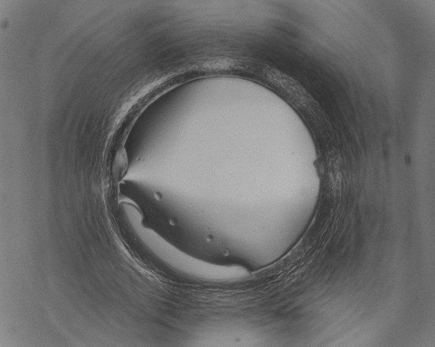 X0000068830728200605261615