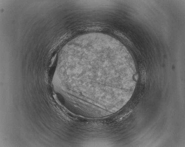 X0000068830729200605261615