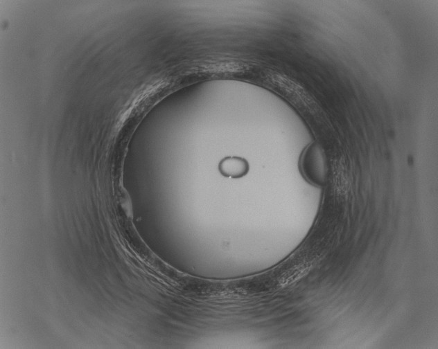 X0000068830731200605261615