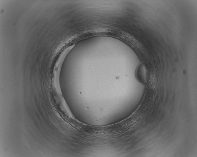 X0000068830732200605261615